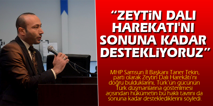 MHP’li Tekin: “Zeytin Dalı Harekatı'nı sonuna kadar destekliyoruz”