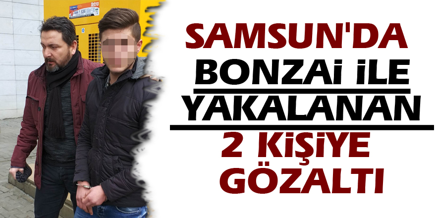 Samsun'da bonzai ile yakalanan 2 kişiye gözaltı