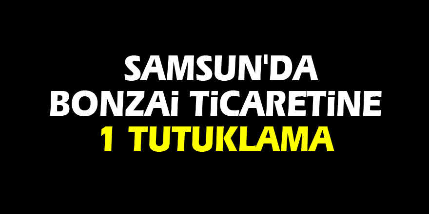 Samsun'da bonzai ticaretine 1 tutuklama