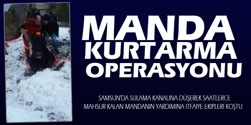 Manda kurtarma operasyonu