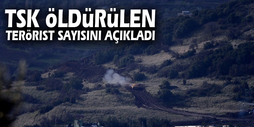 TSK öldürülen terörist sayısını açıkladı