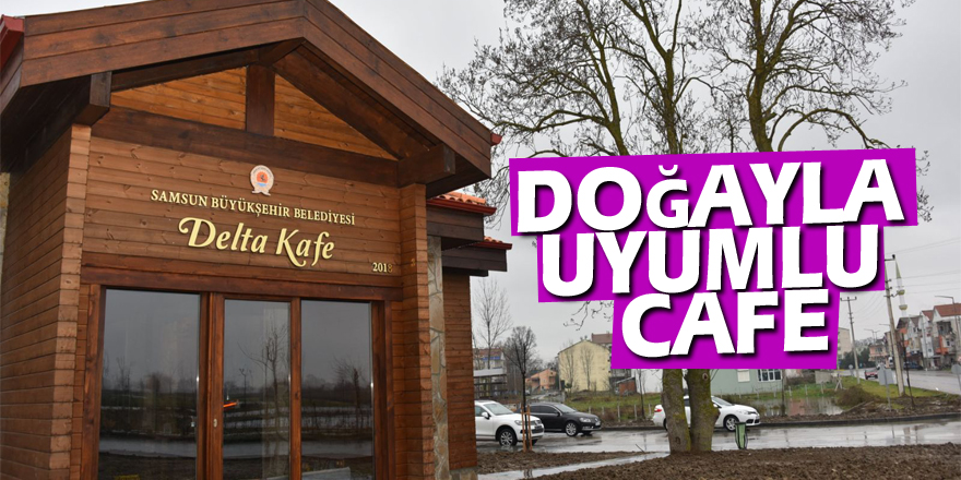 Doğayla Uyumlu Cafe