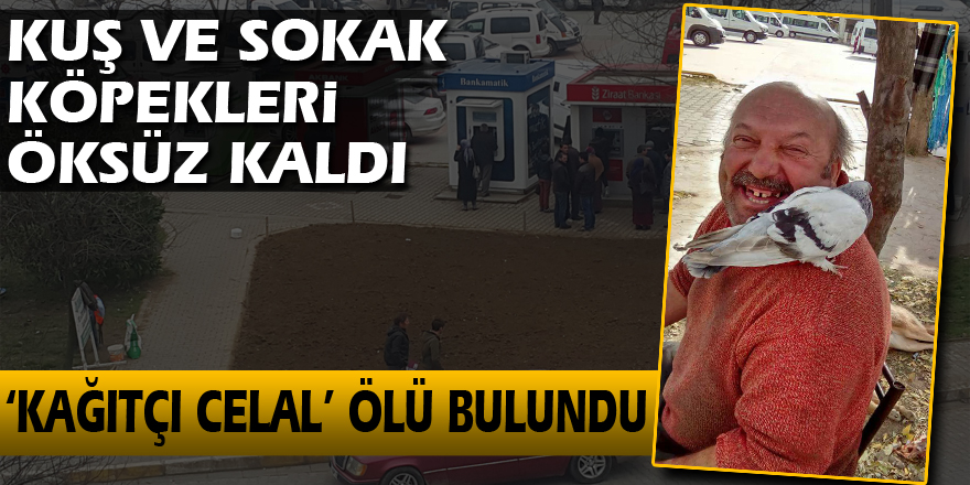 Kuş ve Sokak Köpekleri öksüz kaldı:  ‘Kağıtçı Celal’ ölü bulundu