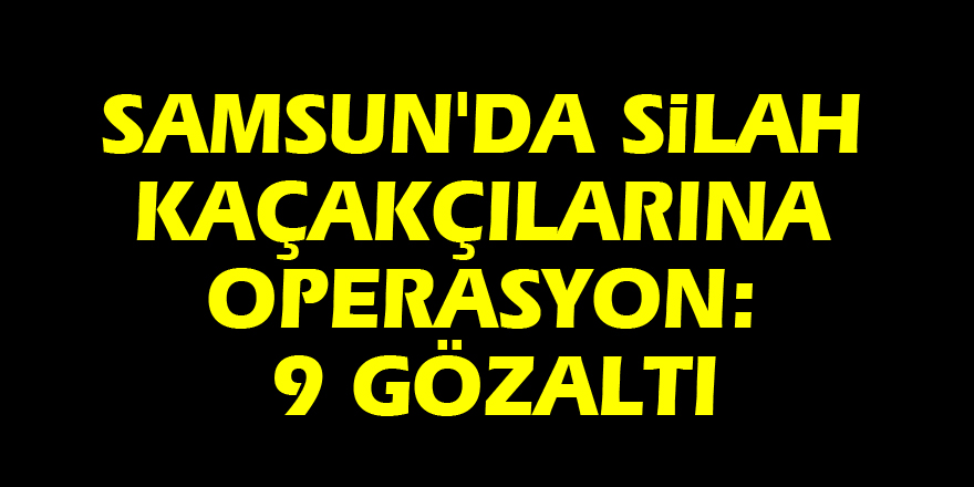 Samsun'da silah kaçakçılarına operasyon: 9 gözaltı