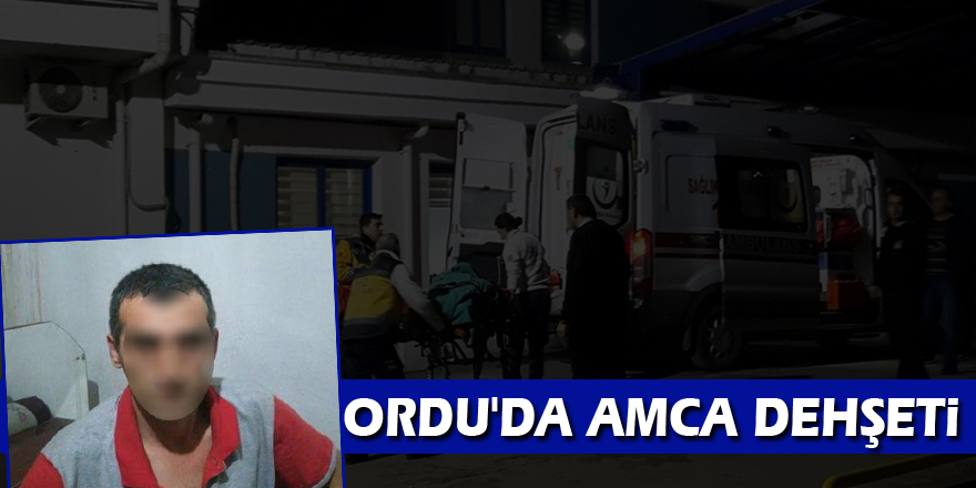 Ordu'da amca dehşeti