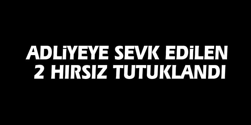 Adliyeye sevk edilen 2 hırsız tutuklandı