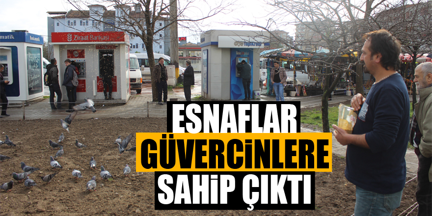 Esnaflar güvercinlere sahip çıktı