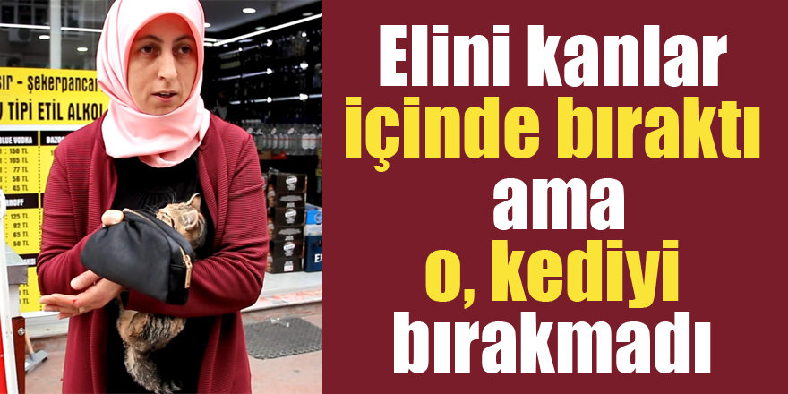 Elini kanlar içinde bıraktı ama o, kediyi bırakmadı