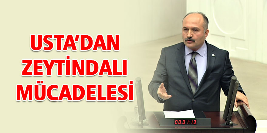 USTA’DAN ZEYTİNDALI MÜCADELESİ