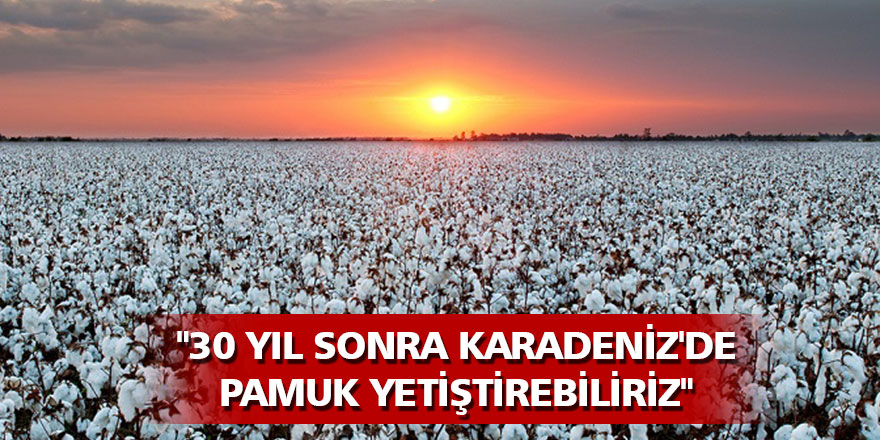 Prof. Dr. Demir: "30 yıl sonra Karadeniz'de pamuk yetiştirebiliriz"