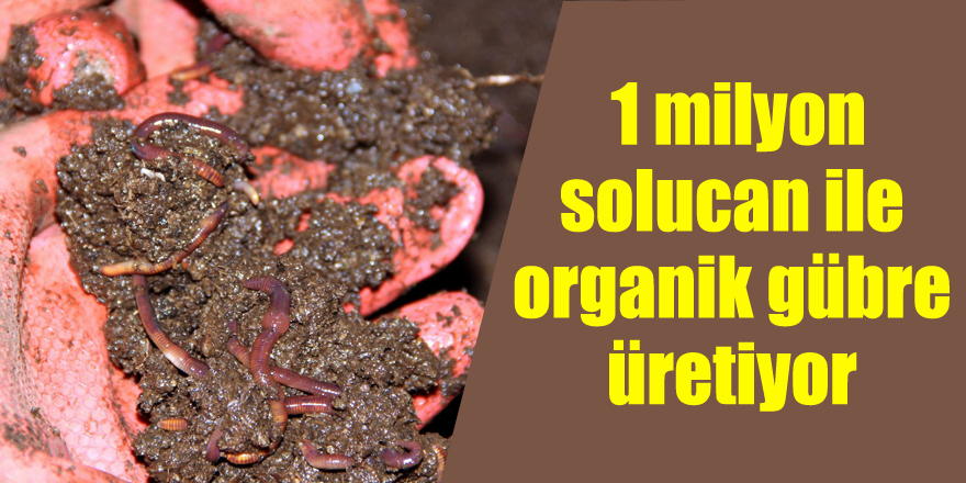 İnsanlar kanser olmasın diye 1 milyon solucan ile organik gübre üretiyor