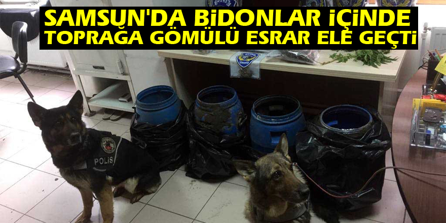 Samsun'da bidonlar içinde toprağa gömülü esrar ele geçti