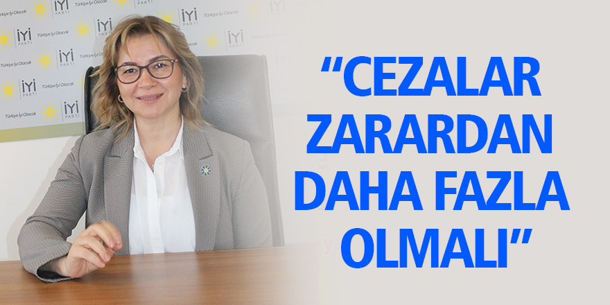 “CEZALAR ZARARDAN DAHA FAZLA OLMALI”