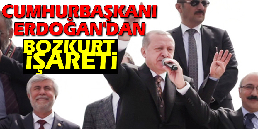 Cumhurbaşkanı Erdoğan'dan Bozkurt işareti