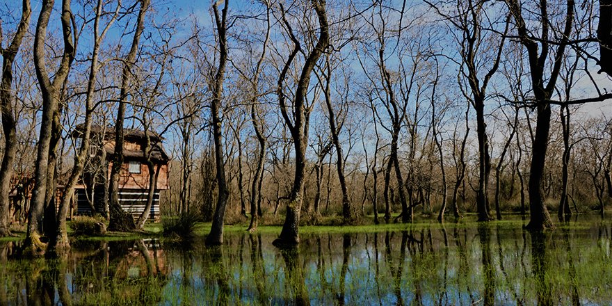 Kızılırmak Deltası doğal güzelliğiyle göz kamaştırıyor 