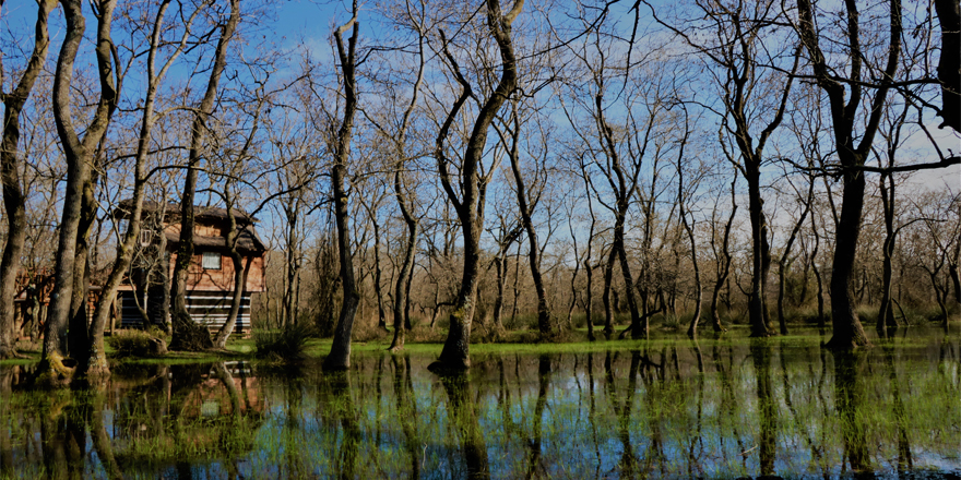Kızılırmak Deltası doğal güzelliğiyle göz kamaştırıyor