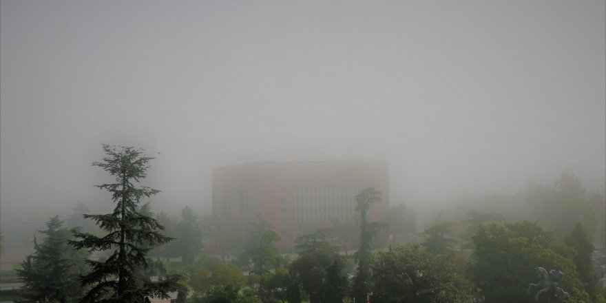 Samsun'da yoğun sis 