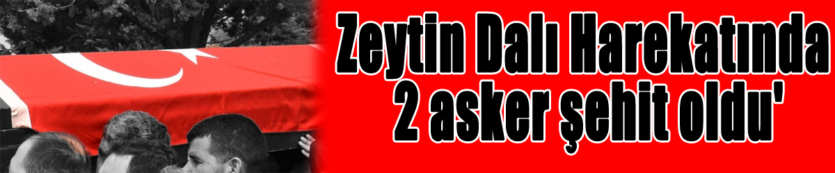 TSK: 'Zeytin Dalı Harekatında 2 asker şehit oldu'