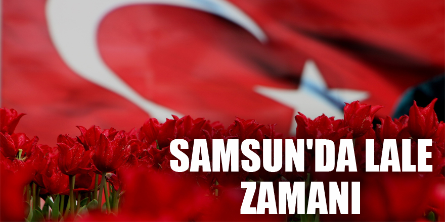 Samsun'da lale zamanı 