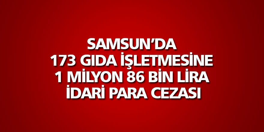 Samsun’da 173 gıda işletmesine 1 milyon 86 bin lira idari para cezası