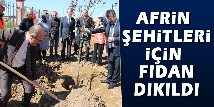 Afrin şehitleri için fidan dikildi