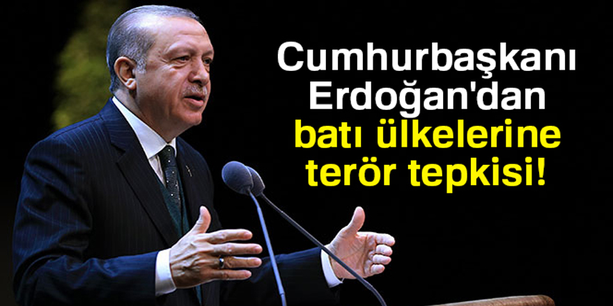 Cumhurbaşkanı Erdoğan'dan batı ülkelerine terör tepkisi