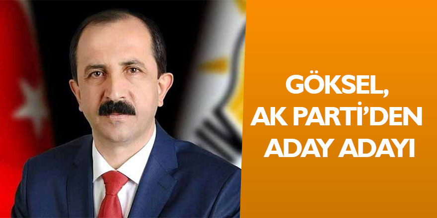 Göksel, AK Parti’den aday adayı