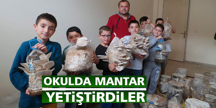 Okulda mantar yetiştirdiler