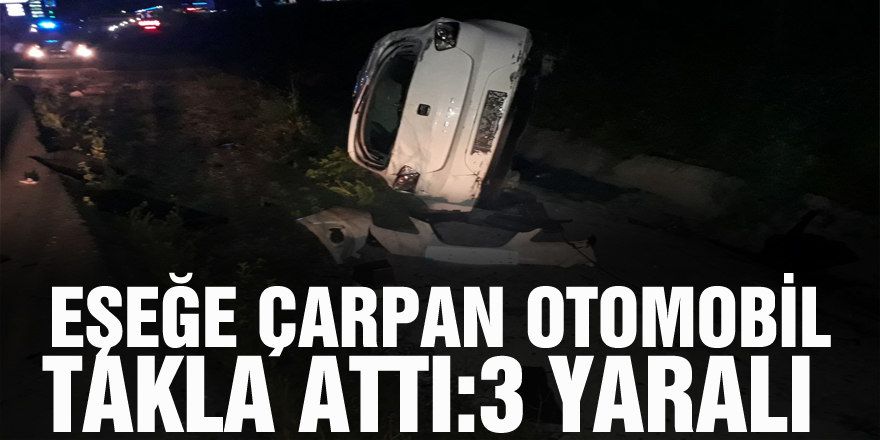 Eşeğe çarpan otomobil takla attı:3 yaralı