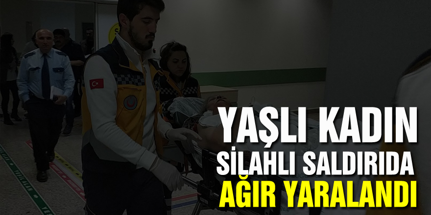 Samsun'da yaşlı kadın silahlı saldırıda ağır yaralandı