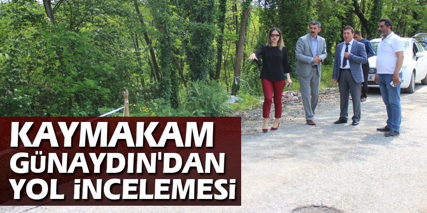 KAYMAKAM GÜNAYDIN'DAN YOL İNCELEMESİ