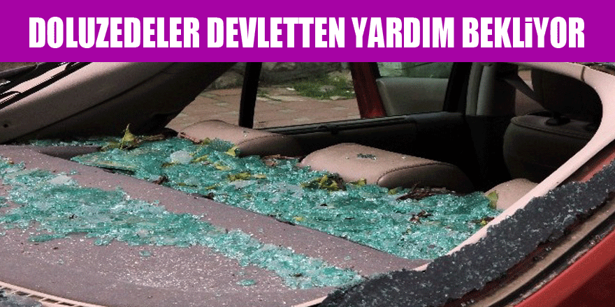 Doluzedeler devletten yardım bekliyor