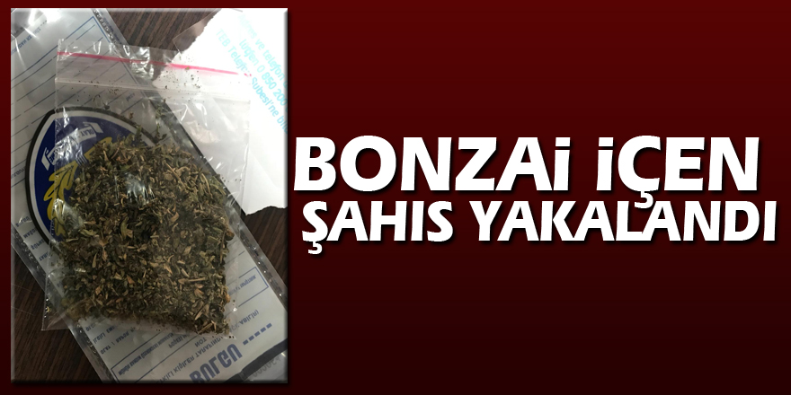 Bonzai içen şahıs yakalandı