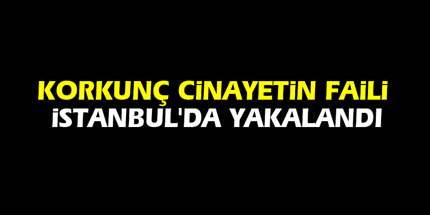 Korkunç cinayetin faili İstanbul'da yakalandı