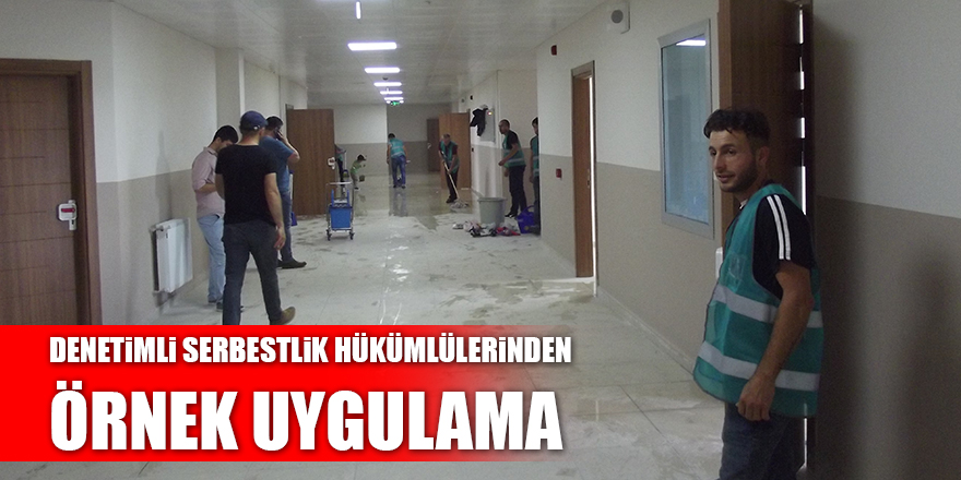 DENETİMLİ SERBESTLİK HÜKÜMLÜLERİNDEN ÖRNEK UYGULAMA