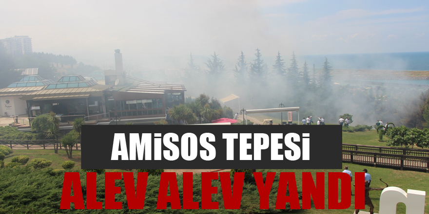 Samsun'da Amisos Tepesi alev alev yandı 