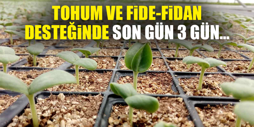 Tohum ve fide-fidan desteğinde son gün 3 gün…