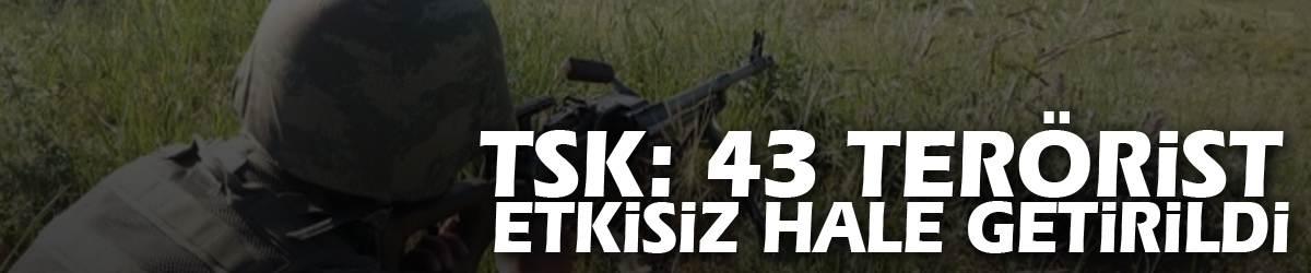 TSK: 43 terörist etkisiz hale getirildi