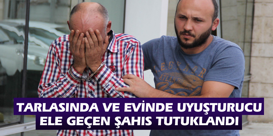 Tarlasında ve evinde uyuşturucu ele geçen şahıs tutuklandı