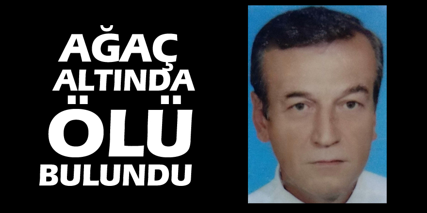 Ağaç altında ölü bulundu