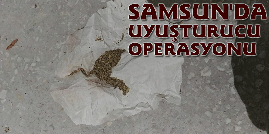 Samsun'da uyuşturucu operasyonu: 12 gözaltı