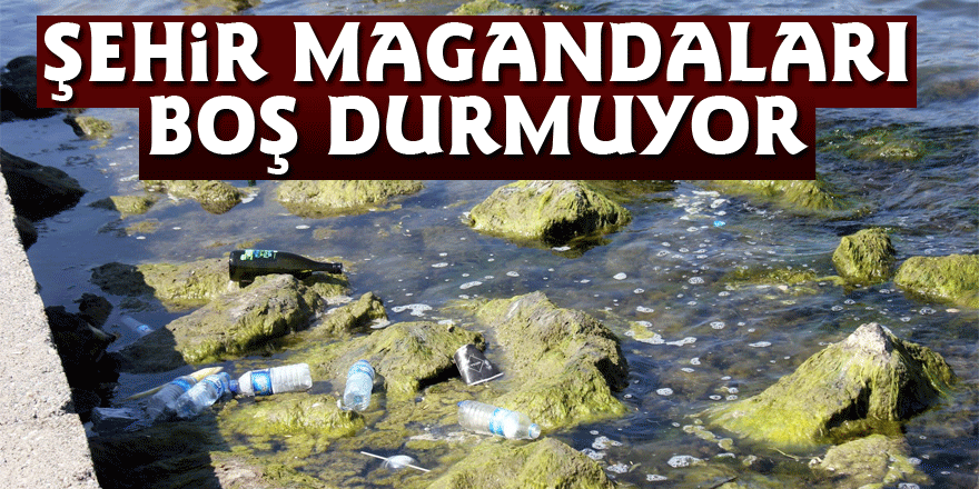 Şehir magandaları boş durmuyor