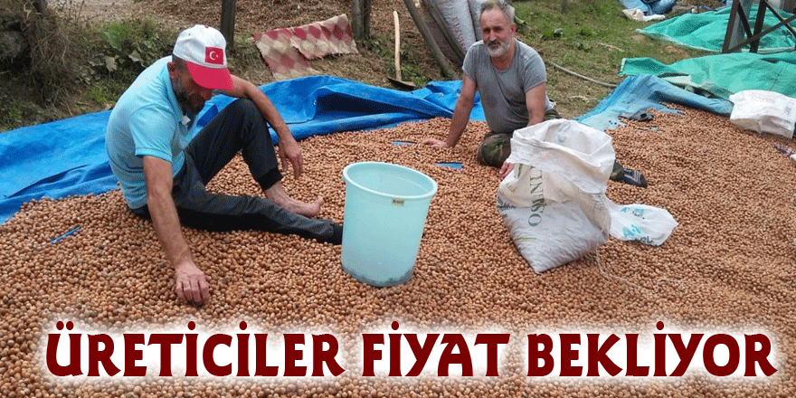 ÜRETİCİLER FİYAT BEKLİYOR