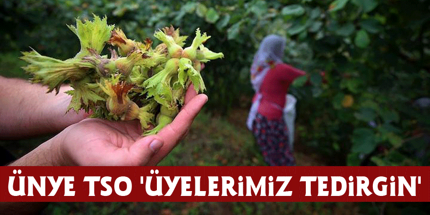 Ünye TSO: 'Üyelerimiz tedirgin'