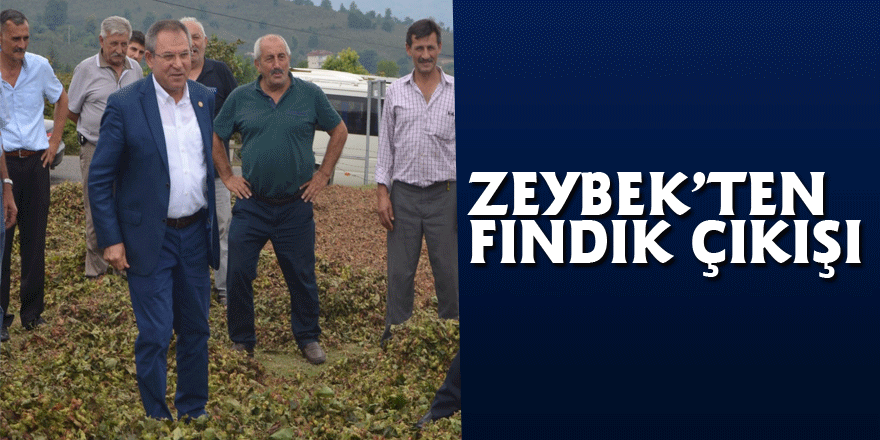 Zeybek’ten Fındık çıkışı