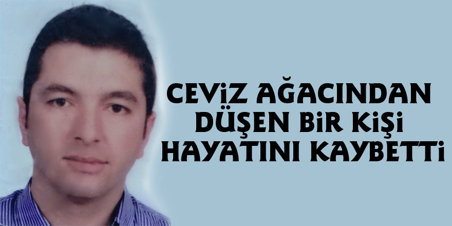 Ceviz ağacından düşen bir kişi hayatını kaybetti