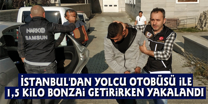İstanbul'dan yolcu otobüsü ile 1,5 kilo bonzai getirirken yakalandı