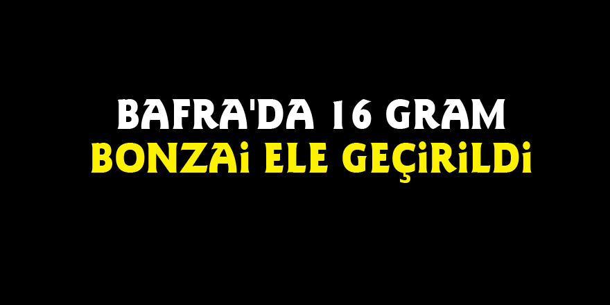 Bafra'da 16 gram bonzai ele geçirildi