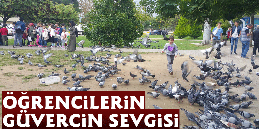 Öğrencilerin güvercin sevgisi