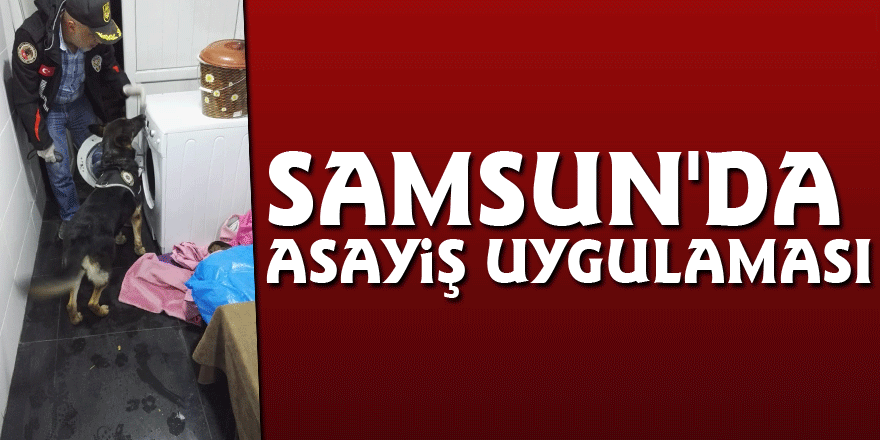 Samsun'da asayiş uygulaması